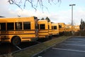 Row of school buses Royalty Free Stock Photo
