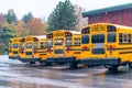 Row of school buses aligned and parked Royalty Free Stock Photo