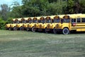 Row of paarked school buses in Michgsn Royalty Free Stock Photo