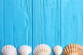 Row of seashells, blue background.