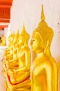 Row of seated Buddhas Royalty Free Stock Photo