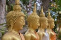 Row of Seated Golden Buddhas on Chomphet Trail Royalty Free Stock Photo