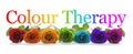 Colour Healing Therapy Rose Banner Royalty Free Stock Photo