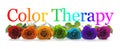 Color Healing Therapy Rose Banner