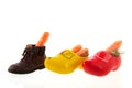 Row shoes with carrots for Dutch Sinterklaas Royalty Free Stock Photo