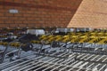 A row of shopping trolleys with focus on the handles and locks that can be unlocked with a coin to borrow one of them