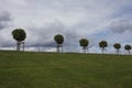 Row of six manicured Tilia trees in line on a green grass lawn hill of the Garden of Venus with a blue sky and white grey clouds