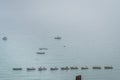 Boats in St Ives bay Royalty Free Stock Photo