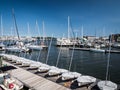 A row of small sailing boats lined up at the Annapolis Marina