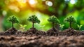 Row of small trees growing in the soil. Generative AI