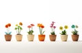 a row of small wooden pots that contain flowers Royalty Free Stock Photo