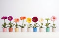 a row of small wooden pots that contain flowers Royalty Free Stock Photo