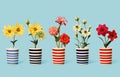 a row of small wooden pots that contain flowers Royalty Free Stock Photo