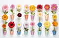 a row of small wooden pots that contain flowers Royalty Free Stock Photo