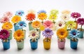 a row of small wooden pots that contain flowers Royalty Free Stock Photo