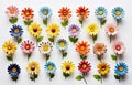 a row of small wooden pots that contain flowers Royalty Free Stock Photo