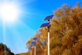 Row of solar panels near the road against a blue clear sky Royalty Free Stock Photo