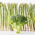 A row of standing asparagus with a standing broccoli stalk in front. Royalty Free Stock Photo