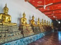 Row of statues of the Buddha illuminated by light shining through a red ceiling Royalty Free Stock Photo