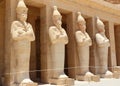A row of statues of Queen Hatshepsut. Royalty Free Stock Photo