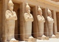 A row of statues of Queen Hatshepsut.