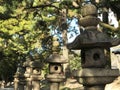 Row of stone lanterns in Japanese temple in Osaka, Japan Royalty Free Stock Photo