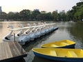 Row of Swan Boats Style and Two Rowboats in The Lake at Dusk Royalty Free Stock Photo