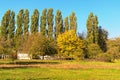 A row of tall poplar trees against a blue sky. Ancient building with many fruit trees in front yard. Autumn colors