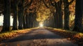 A row of tall swaying trees line the road creating a mesmerizing tunnel that draws the eye towards the distant horizon