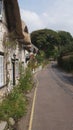 Row of thatched roof cottages