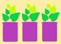 A row of three identical magenta violet purple pot potter holders with green leaf plants light yellow beige backdrop Royalty Free Stock Photo