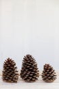 Row of three pine cones on a bench