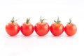 Row of Tomatoes