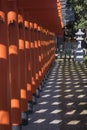 Row of torii to the Izumi shrine in Suizenji Garden, Suizenji JÃÂjuen