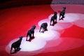 Row of trained black dogs on circus stage under red light