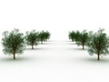 Row of trees Royalty Free Stock Photo