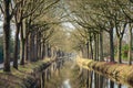 Row of trees along canal reflecting in the water surface Royalty Free Stock Photo
