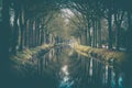 Row of trees along canal reflecting in the water surface Royalty Free Stock Photo