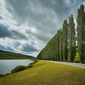 Row of Trees Along a Country Road with a Lake in the Background Royalty Free Stock Photo