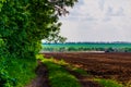 Row of trees along farm dirt road besides plowed field Royalty Free Stock Photo