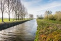 Row of trees and a canal in the fall season Royalty Free Stock Photo