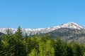 Row of trees on foreground mountains with vast clear blue sky on background in sunny day Royalty Free Stock Photo