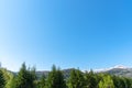 Row of trees on foreground mountains with vast clear blue sky on background in sunny day Royalty Free Stock Photo