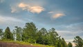 Row of trees on horizon line under blue sky. Cumulus clouds over green wood at sunset Royalty Free Stock Photo