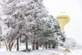 Row of trees lead to an iconic water tower