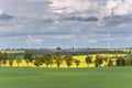 Row of trees and spring fields Royalty Free Stock Photo