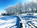 A row of treess branches covered snow with sunlight shadow Royalty Free Stock Photo