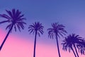 Row of tropic palm trees against sunset sky