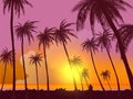 Row of tropic palm trees against sunset sky. Silhouette of tall palm trees. Tropic evening landscape. Gradient color. Vector illus Royalty Free Stock Photo