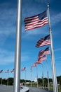 Row of United States of Amercan Flags with the US Capitol in the Background Royalty Free Stock Photo